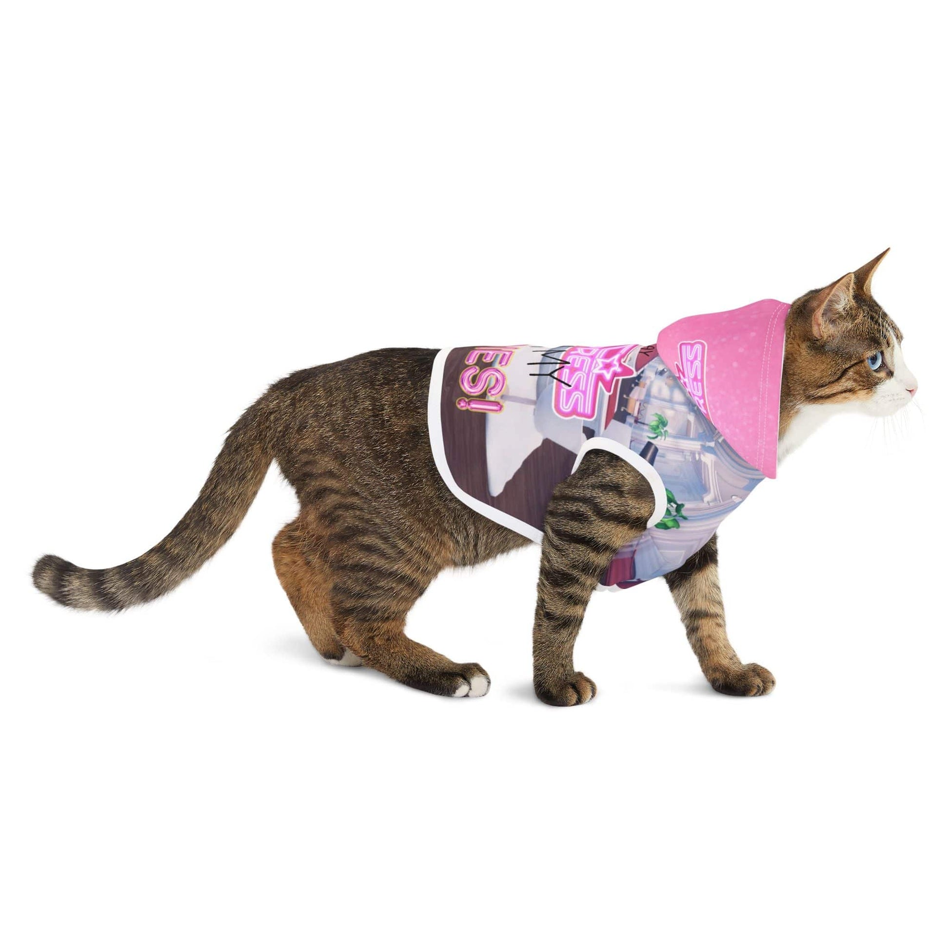 Printify Pets I play Dress to Impress with my BADDIES DTI Dress to Impress Roblox Fashion Game Dog Cat Pet Hoodie